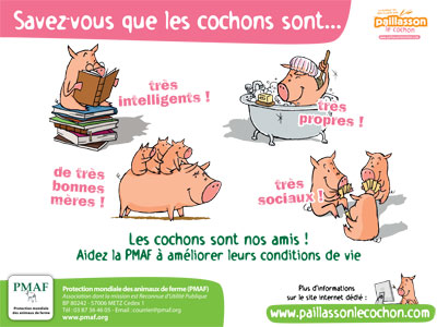 Une campagne d'affichage inédite contre les préjugés sur les cochons